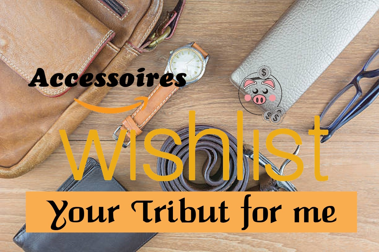 accessoireswishlist2